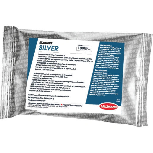 MAGNIVA Silver product photo
